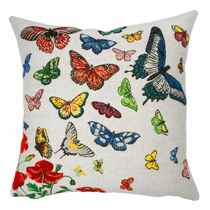 coussin papillon
