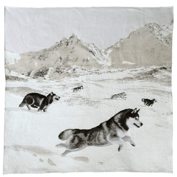 Plaid montagne Huskies - Jules Pansu