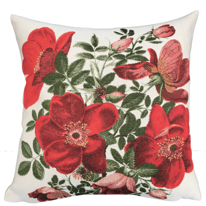 Coussin fleur Rosa rouge, feuille, verte, fond blanc - Jules Pansu