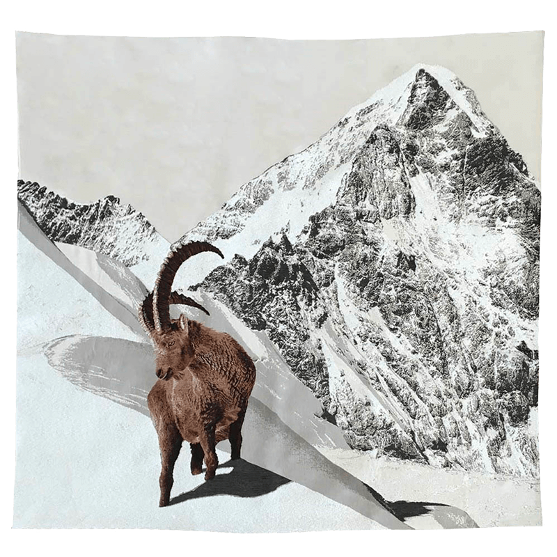 Ibex mountain blanket Orcières - Jules Pansu