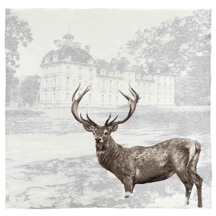 Plaid Cerf à Cheverny - Jules Pansu