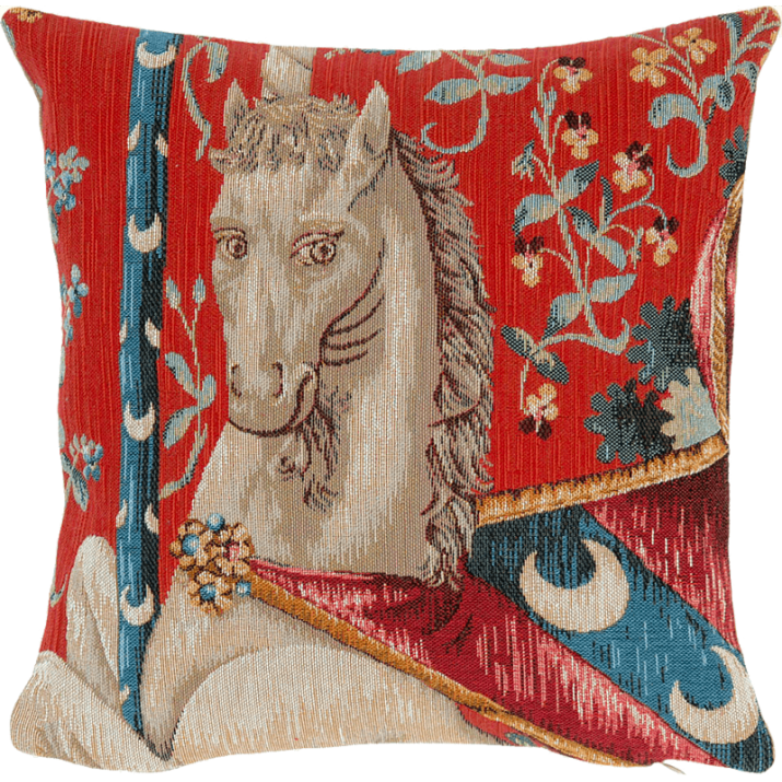 Cushion Monokeros - Jules Pansu