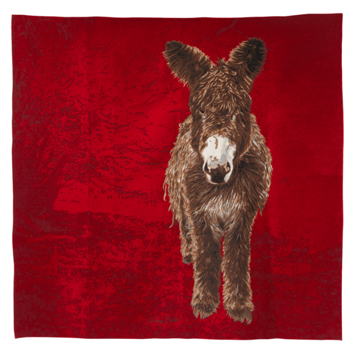 Nono red throw, comfort, softness, sofa, armchair - Jules Pansu