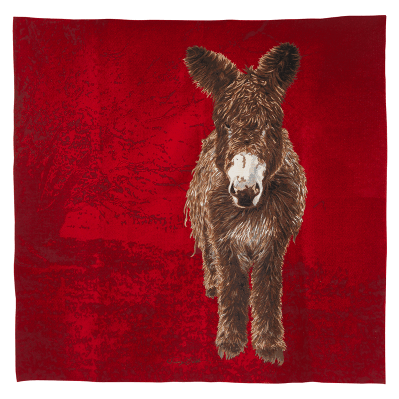 Plaid Nono rouge, confort, douceur, canapé, fauteuil - Jules Pansu